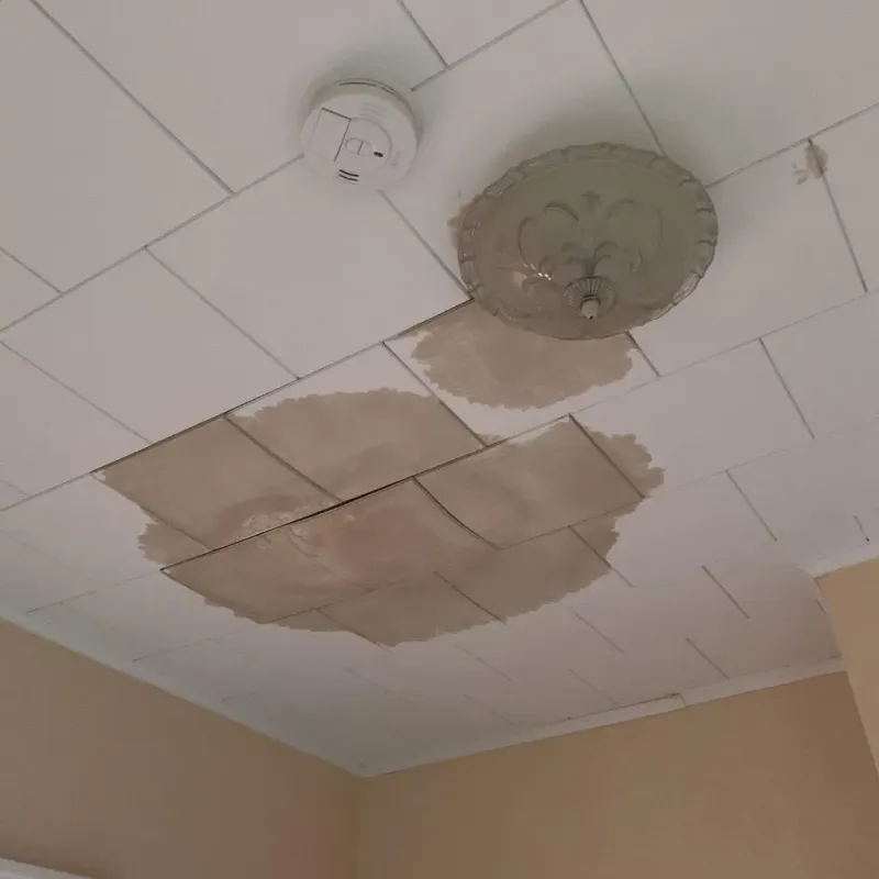 Ceiling Water Damage Repair in Two Harbors, MN