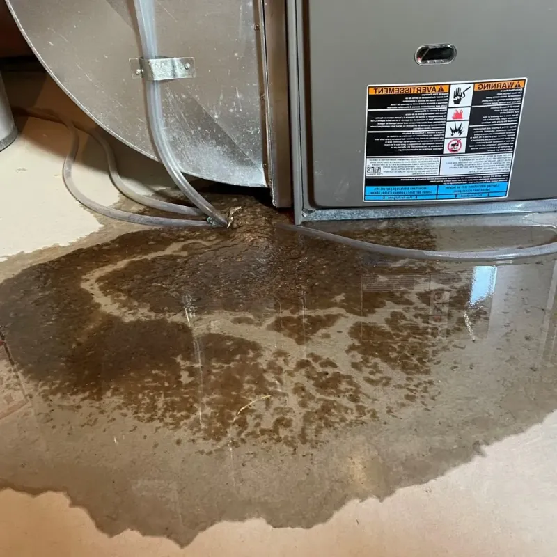 Pipe Burst and Leak Restoration in Two Harbors, MN